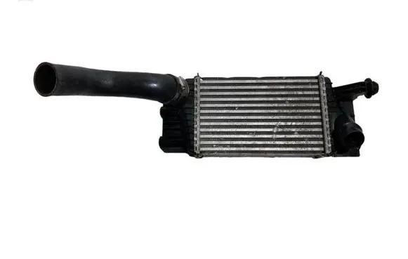 Nissan Juke I F15 Intercooler radiator 144611KB2A