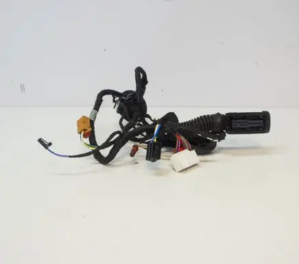 Other wiring loom