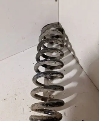 Rear coil spring