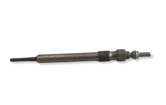 Volkswagen PASSAT B6 Glow plug 0250403007