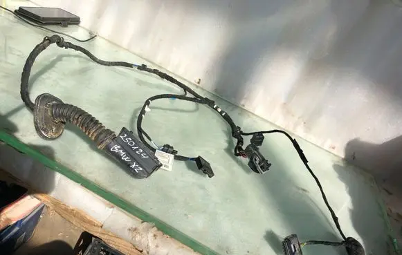 BMW X2 U10 Front door wiring loom 5b3219101