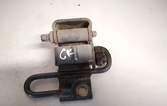 Rear door lower hinge