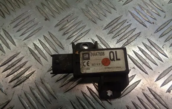 Opel Vectra C Tire pressure control unit 24447608