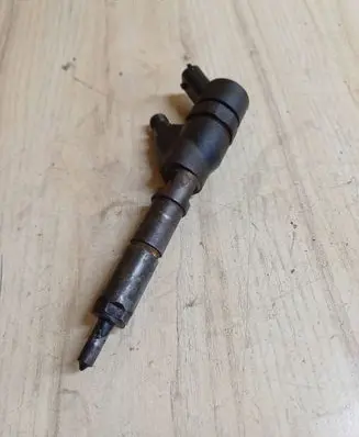 Peugeot 406 Fuel injector 0445110044