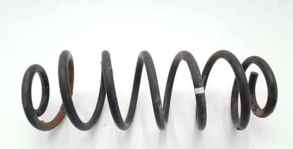 Rear coil spring