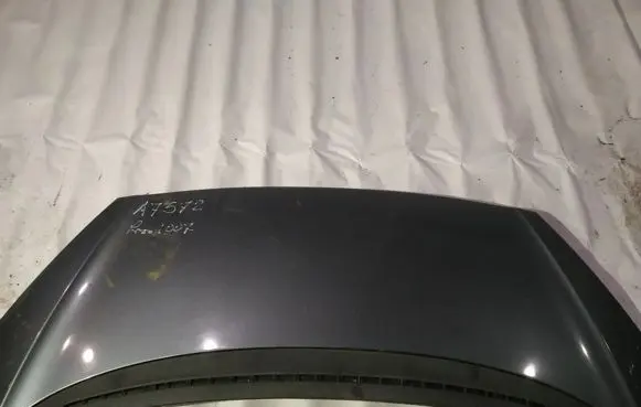 Peugeot 1007 Engine bonnet/hood melynas