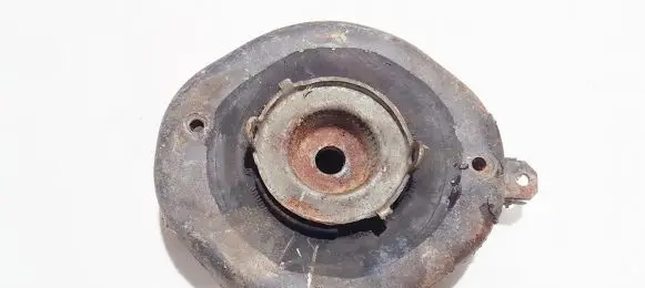 Coil spring mount