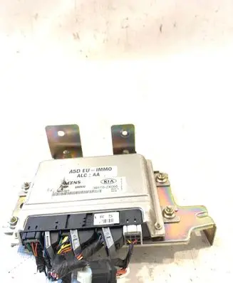 KIA Rio Engine control unit/module 391102X066