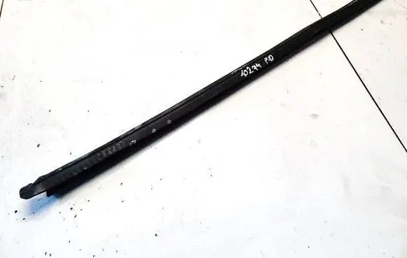 Opel Insignia A Rubber seal front coupe door 