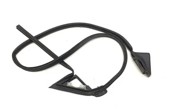 Jaguar XK - XKR Rubber seal front door (on door) C2P19090