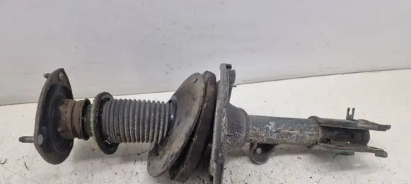 Hyundai Santa Fe Front shock absorber/damper 