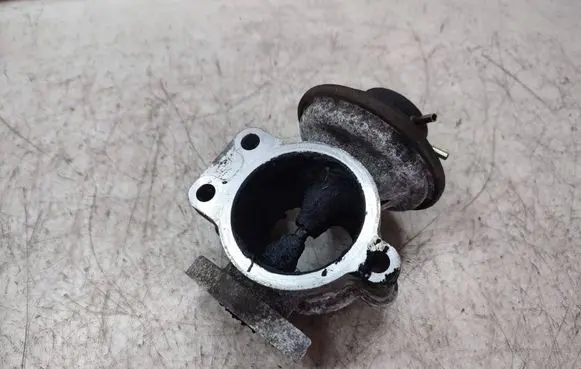 Toyota Land Cruiser (J120) EGR valve 1013970660