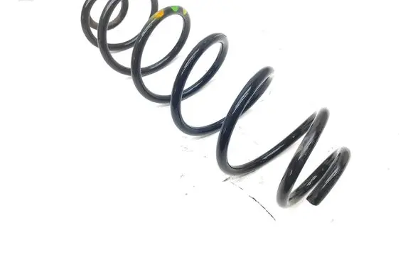 Rear coil spring
