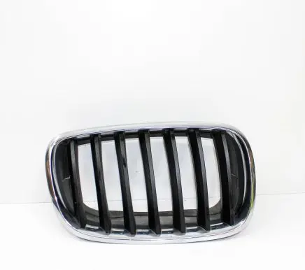 BMW X5 E70 Front grill 7171396