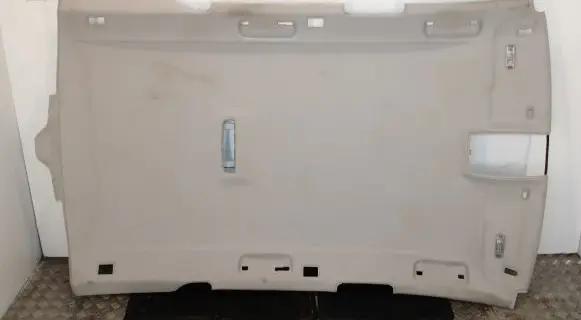 Audi A6 S6 C6 4F Headlining 4F9867505