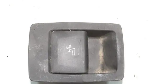 BMW iX3 G08 Rear seat headrest 7436054