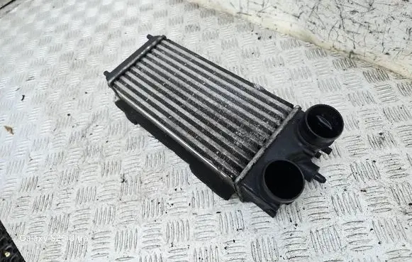 Ford B-MAX Intercooler radiator AV219L440AC