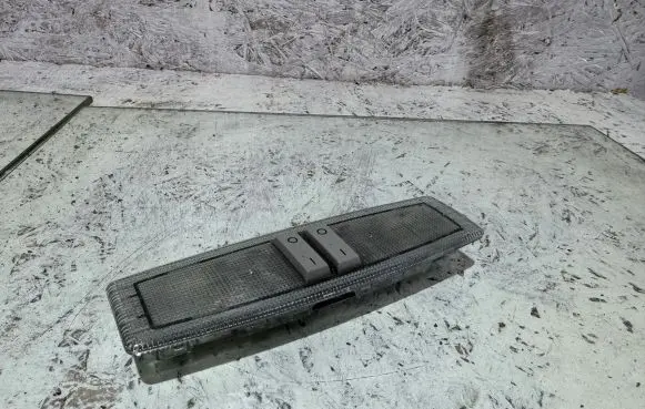 Opel Zafira B Rear seat light 13101641 0885600