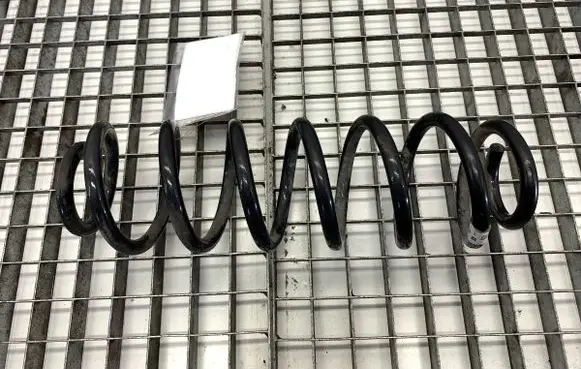 Rear coil spring