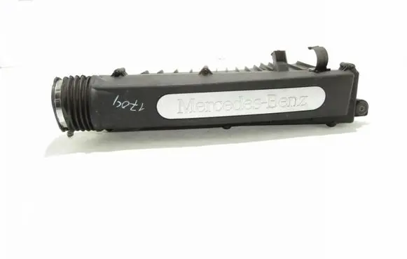 Mercedes-Benz CL C215 Air filter box A1112030140