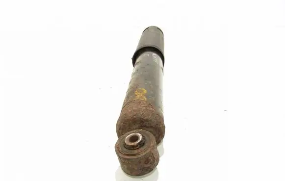 Chevrolet Captiva Rear shock absorber/damper