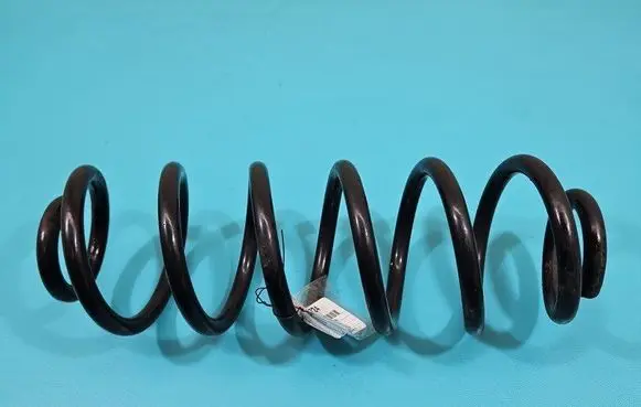 Rear coil spring