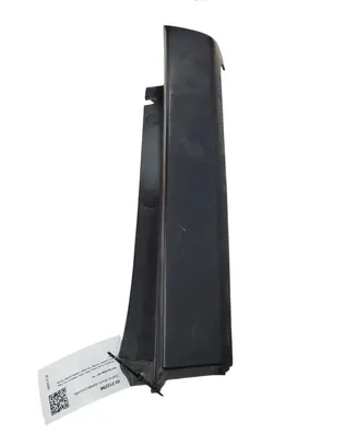 Rear/tail light trim molding