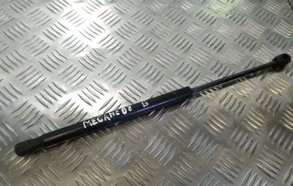 Tailgate/trunk strut/damper