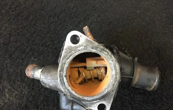 Fiat Stilo Engine coolant pipe/hose 60672655