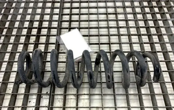 Rear coil spring