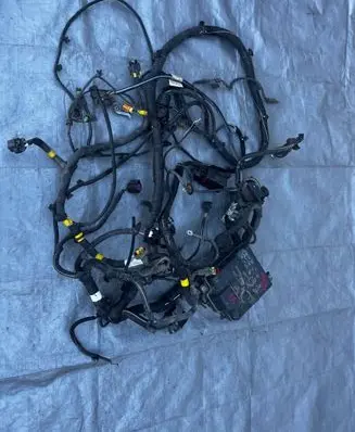 Fiat Doblo Wiring harness 