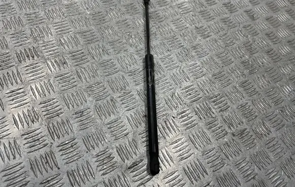BMW 1 E82 E88 Front bonnet/hood damper/strut 7060622