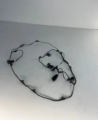 Audi A4 S4 B9 Other wiring loom 8W0971095B 5Q0919275B