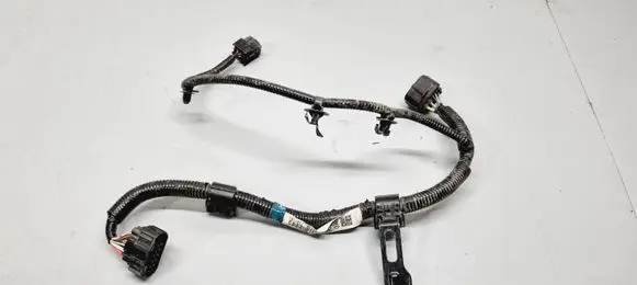Honda CR-V Other wiring loom 289505TAE0001 289505TAE00