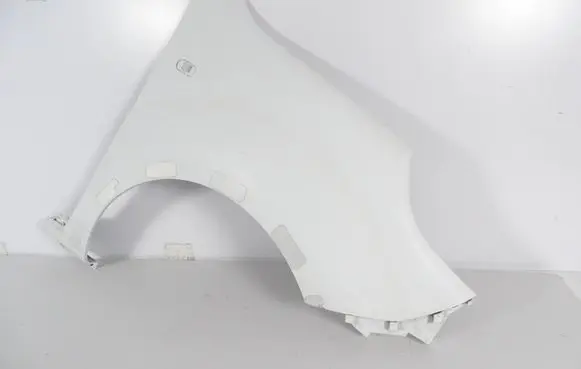 Renault Kangoo II Fender 631003601R