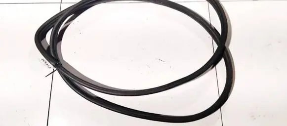 Nissan Note (E11) Rubber seal front coupe door 