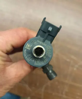 Renault Kangoo II Fuel injector 0445110800
