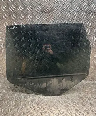 Rear door window glass