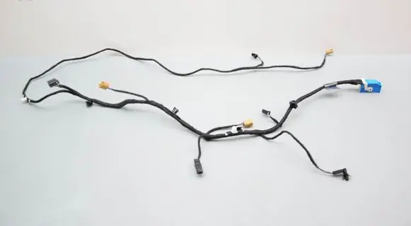 Front door wiring loom