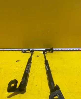 Chevrolet Captiva Tailgate hydraulic set 