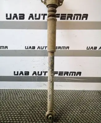 Seat Ibiza IV (6J,6P) Rear shock absorber/damper 6R0512011E