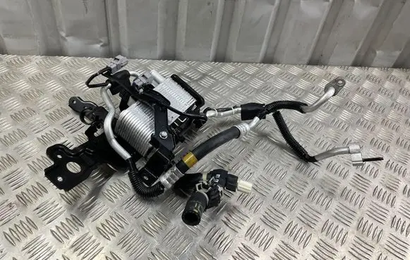 Lexus NX Optional radiator 