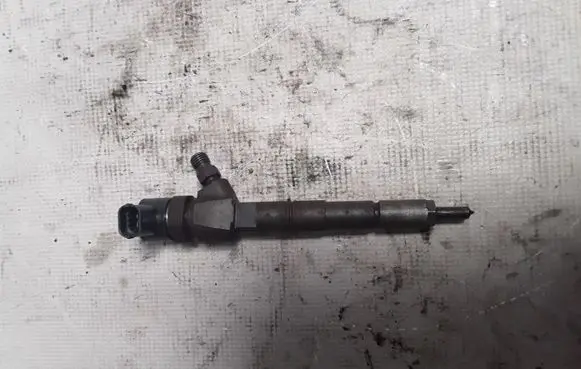 Opel Insignia A Fuel injector 04451100243