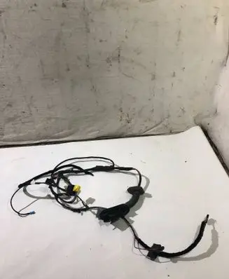BMW 5 E60 E61 Front door wiring loom 6925924 14206010