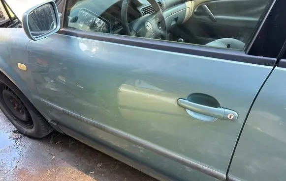 Volkswagen PASSAT B5 Front door