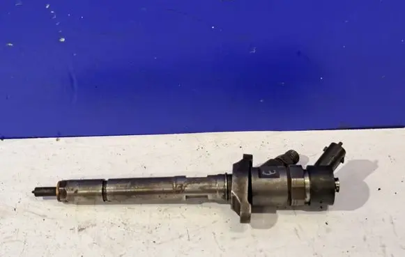 Volvo V50 Fuel injector 0445110259 30757314