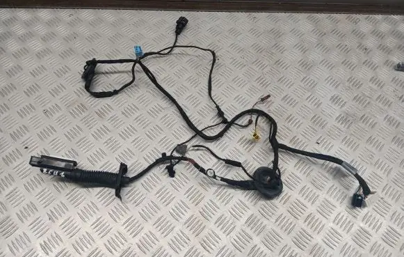 Audi Q5 SQ5 Front door wiring loom 80A971029E