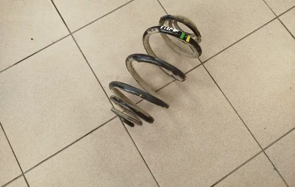 Rear coil spring