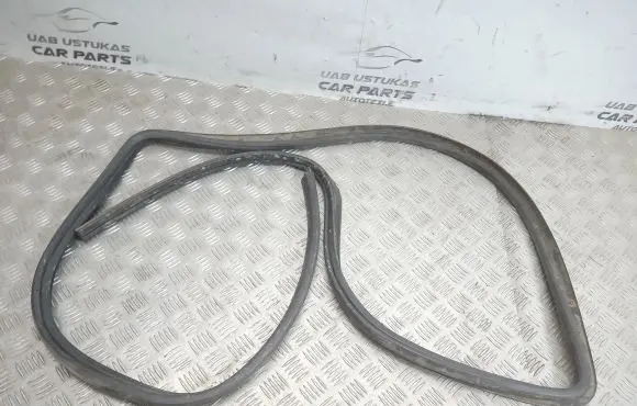 Trunk rubber seal (body)