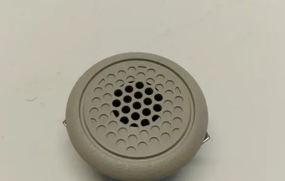 Ford Mustang Mach-E Microphone (bluetooth/phone) 